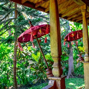 Swasti Eco Holiday park